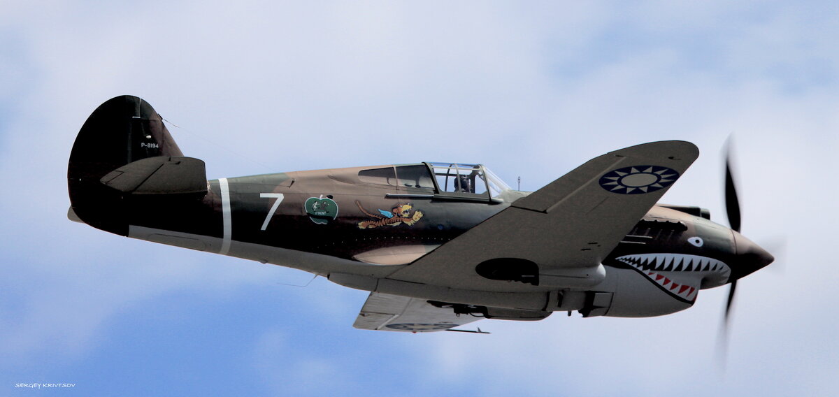 Curtiss P-40 Tomahawk - Sergey Krivtsov
