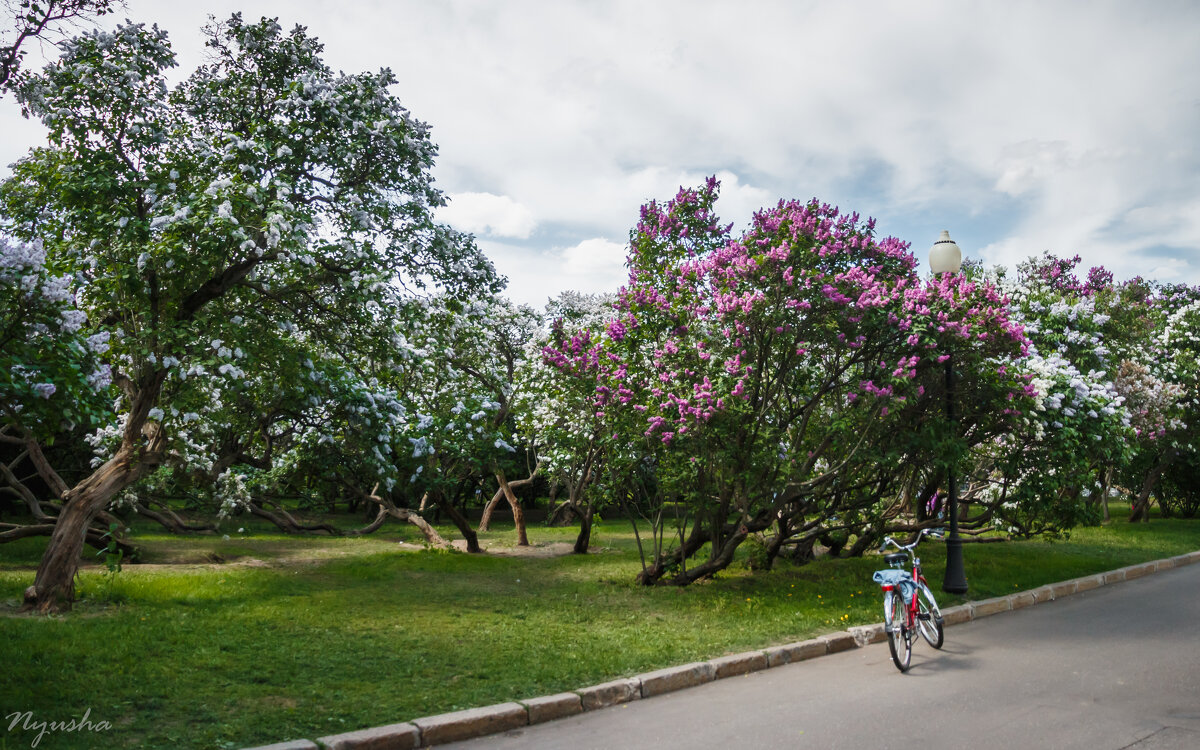 В парке Горького - Nyusha .