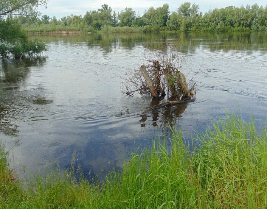 Река Десна - Александр Скамо