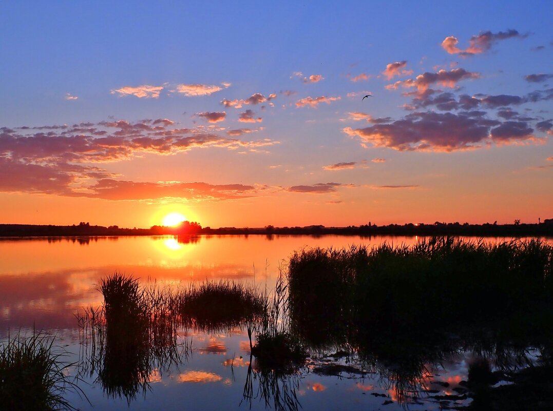 Закат на озере - Геннадий Ячменев