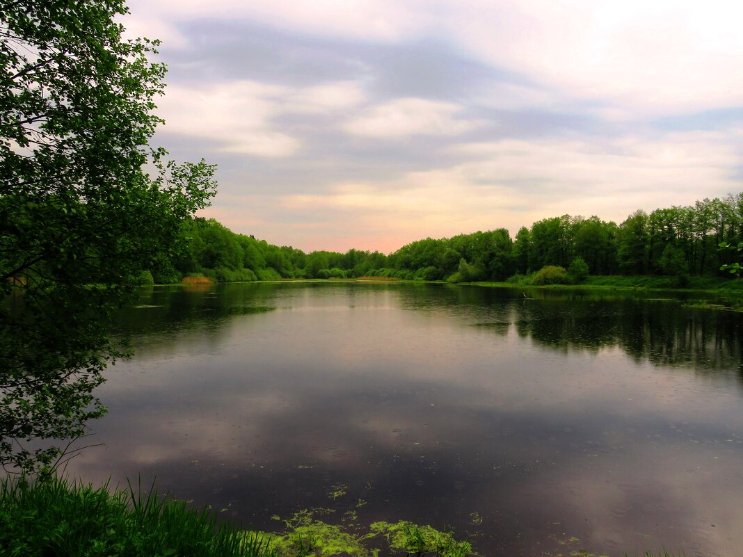 Озеро в конце весны - Андрей Снегерёв