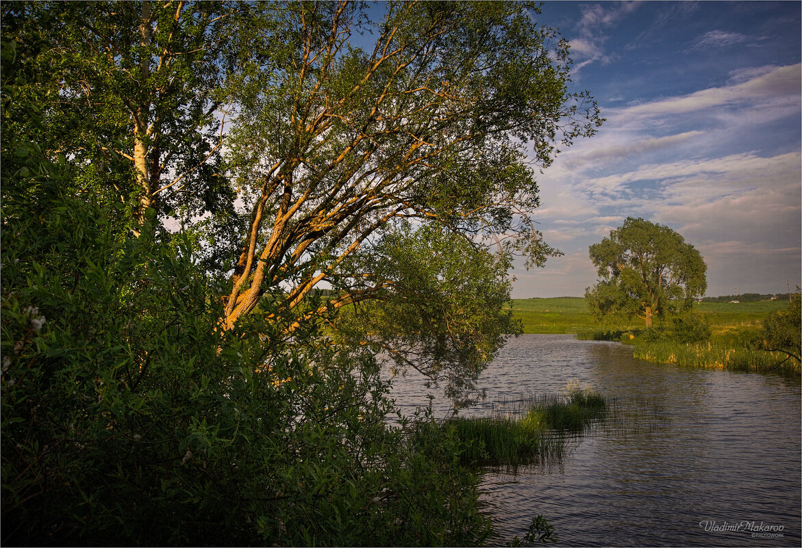 "У пруда в начале лета"© - Владимир Макаров