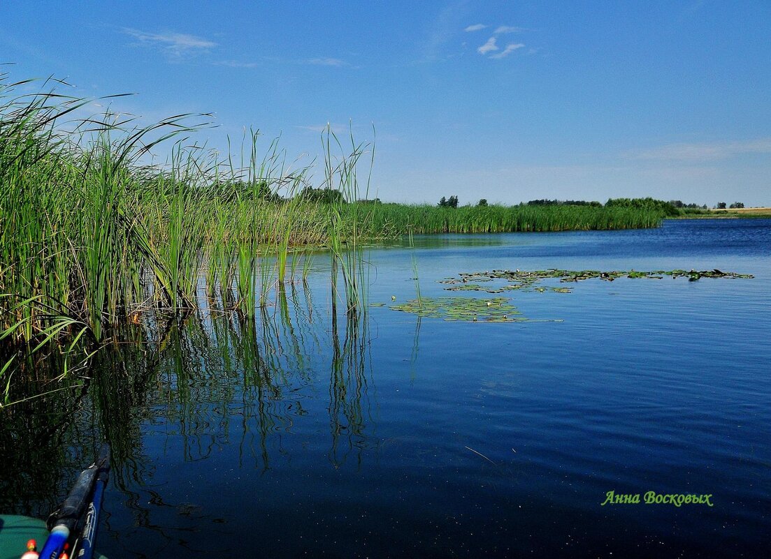 Глаза озер с ресницами зелёными В просторы летние внимательно глядят...... - Восковых Анна Васильевна 