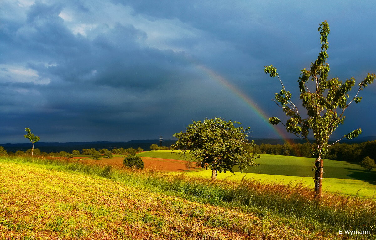 rainbow - Elena Wymann