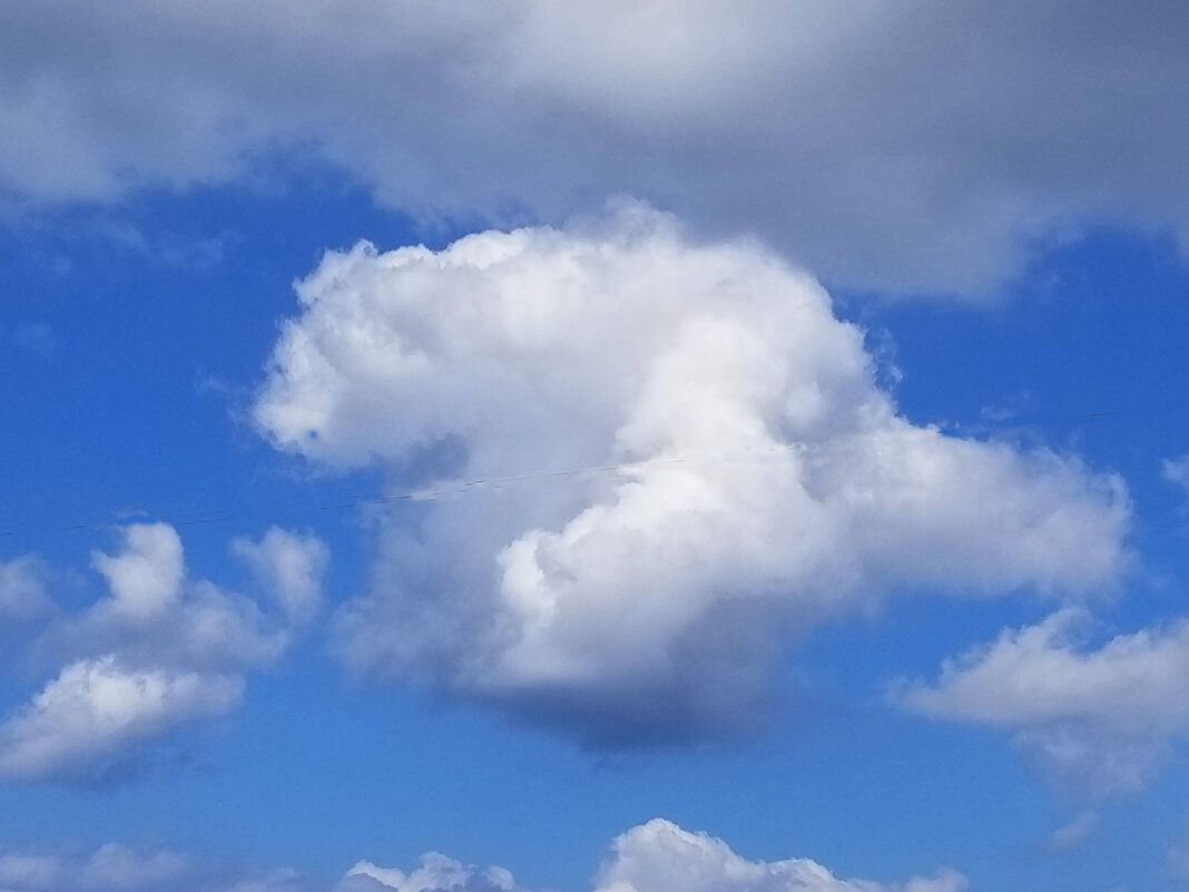 Облако в форме животного в голубом небе. - Светлана Хращевская