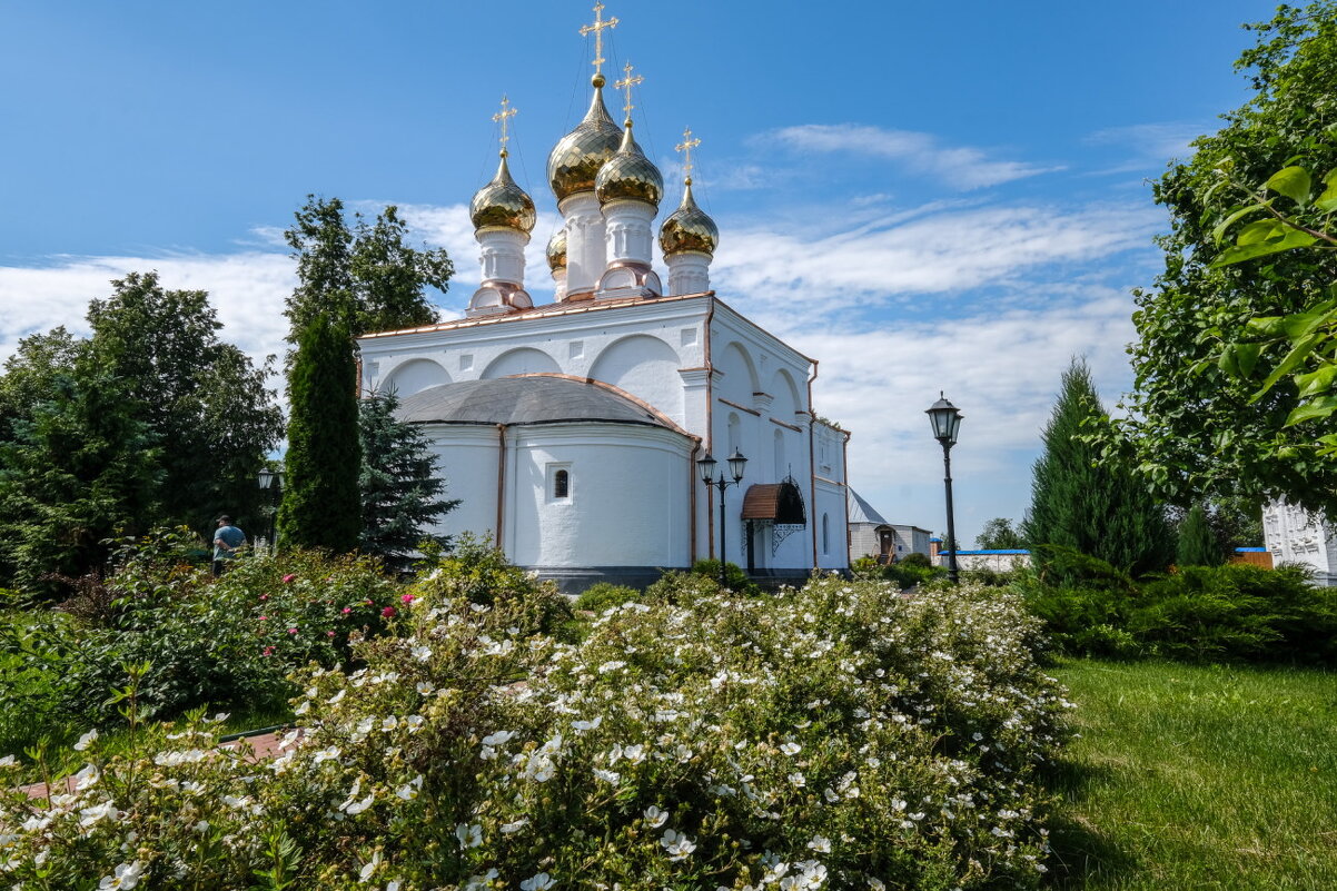 Солотчинский женский монастырь (4) - Георгий А