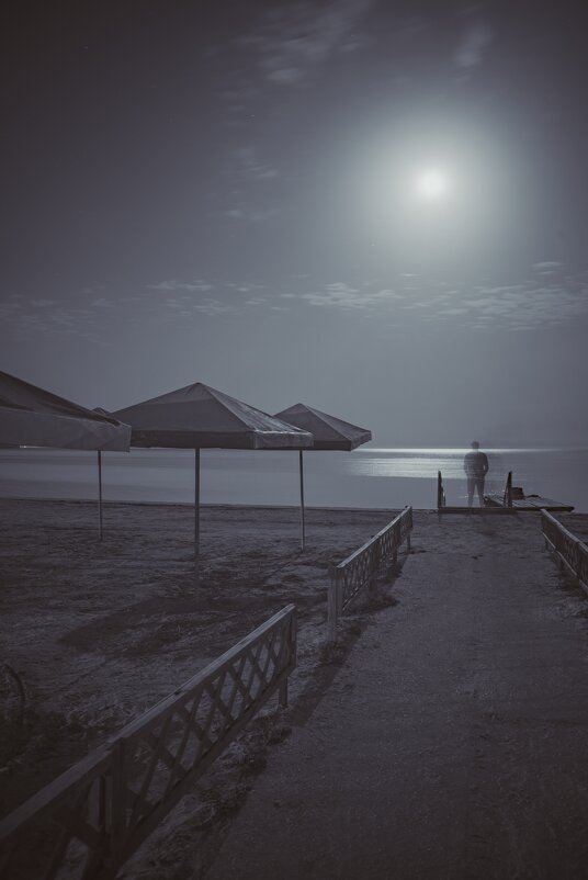 Лунная ночь на Черном море - Александр Довгий
