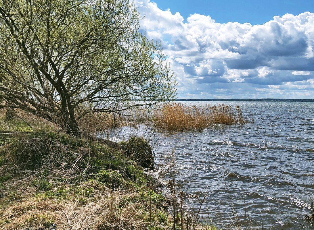 Плещеево озеро - Евгений Кочуров