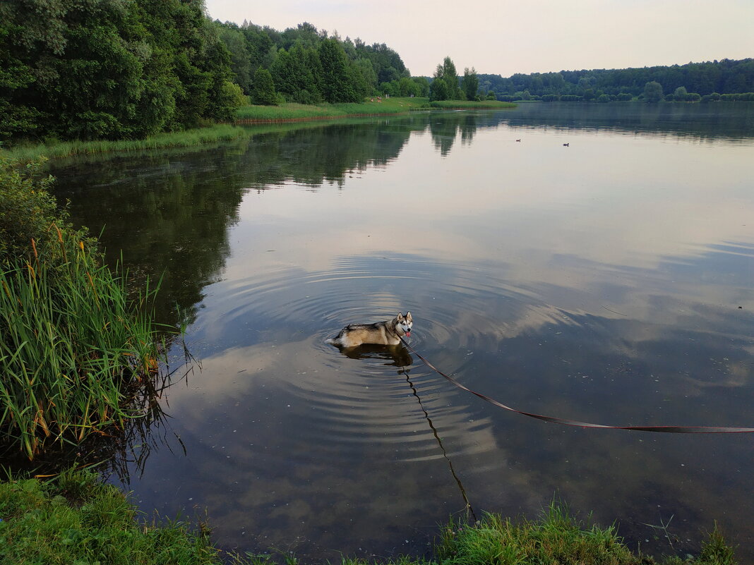 Вот, кого из воды не вытащишь - Андрей Лукьянов