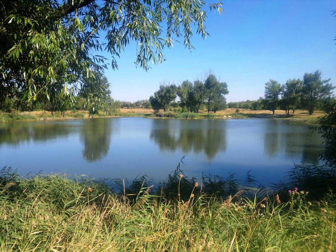 Гуково. Большой гуковский пруд (пруд Водокачка - 2). - Пётр Чернега