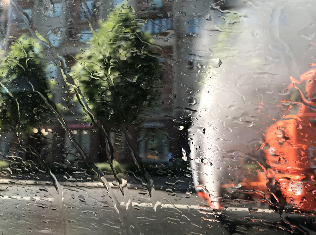 Летний "дождь" ... - Лариса Корженевская