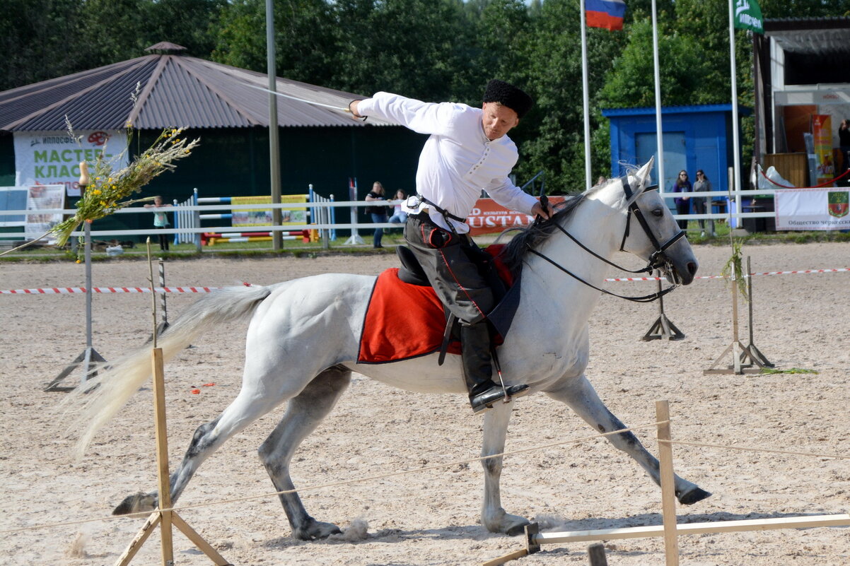 Международная конная выставка "Иппосфера" 2021 - Николай 