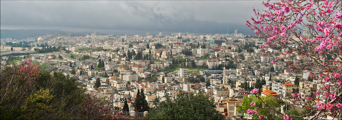 Иерусалим, начало весны... - Валерий Готлиб