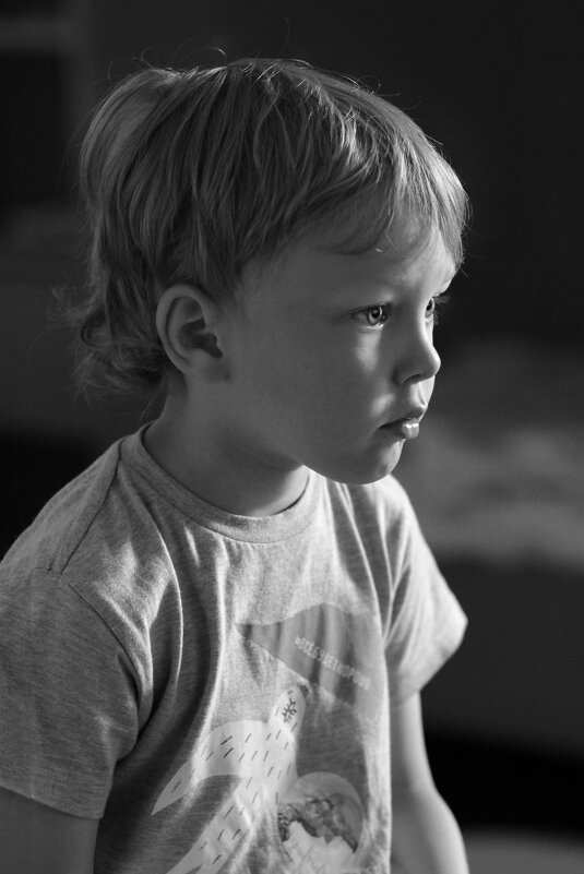 Черно-белый портрет мальчика - Наталья Преснякова
