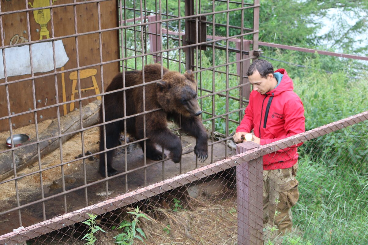 В сибирском зоопарке - Ольга 