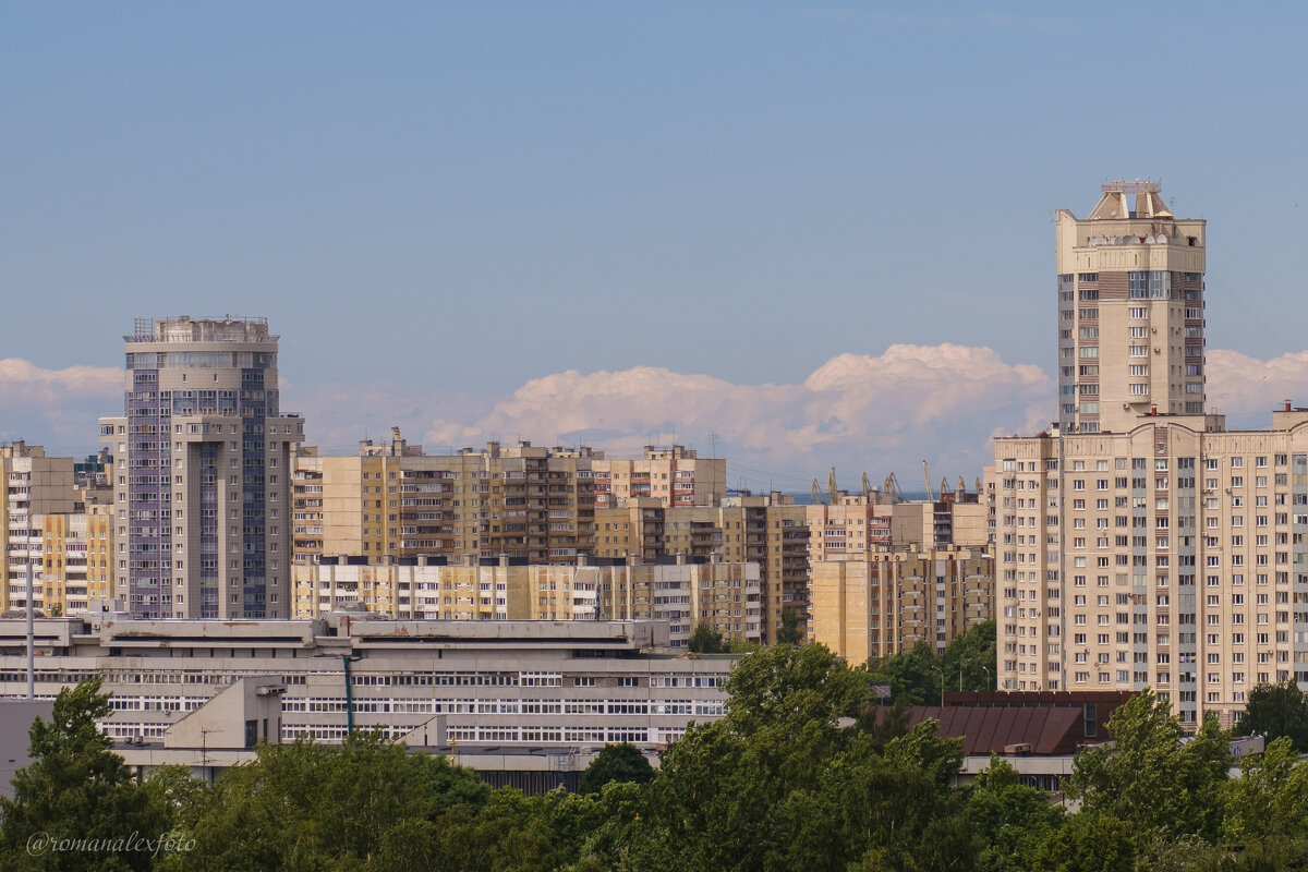 Красносельский район Санкт-Петербурга - Роман Алексеев