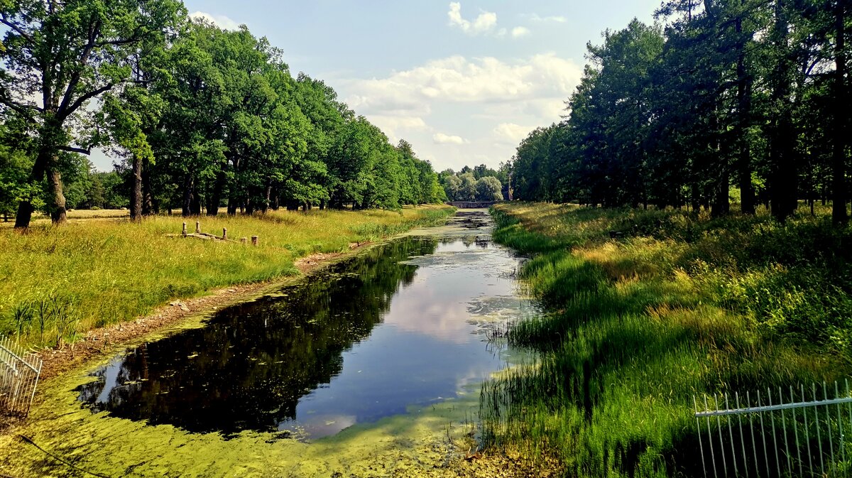 Витоловский канал в Екатерининском парке ЦС - Сергей 