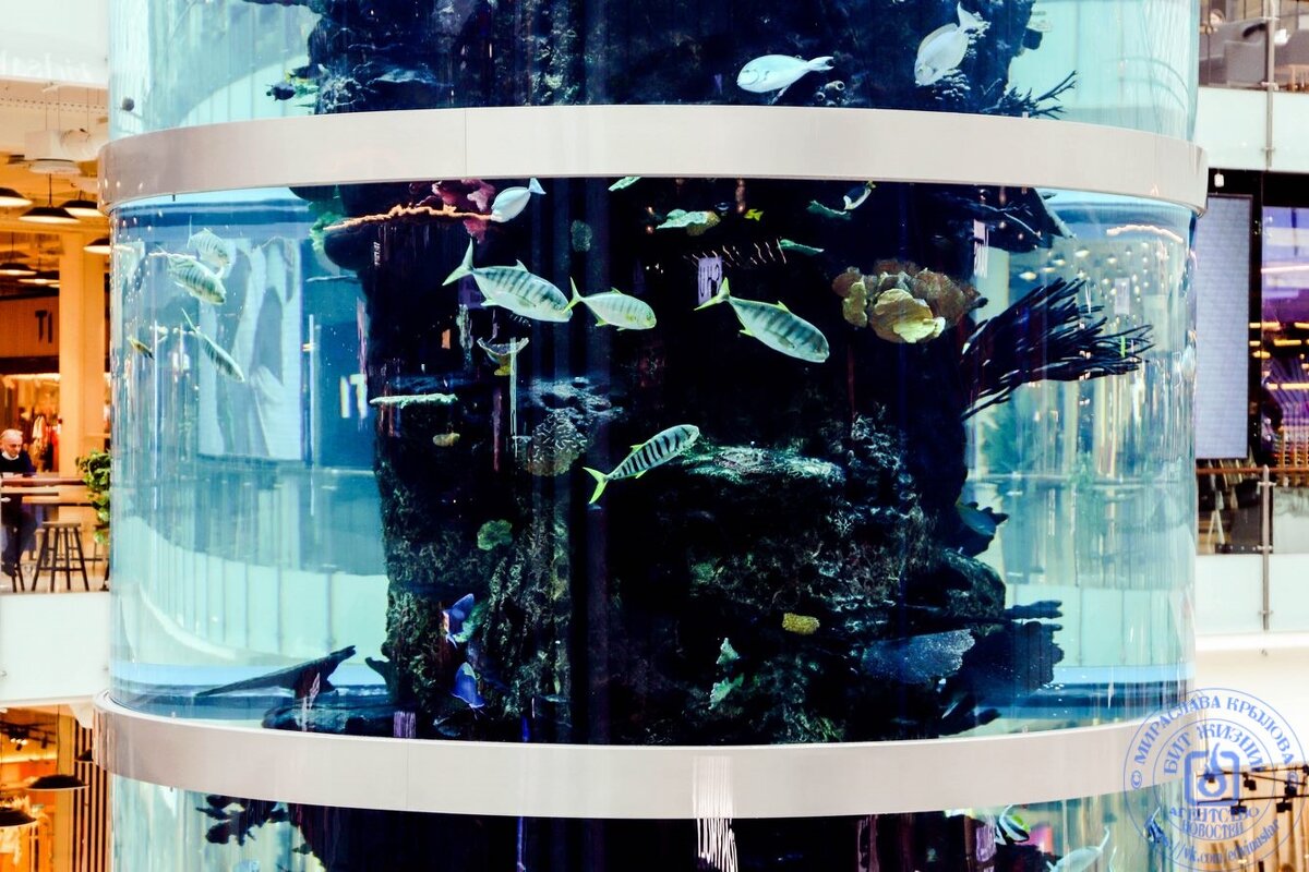 тц аквариум москва