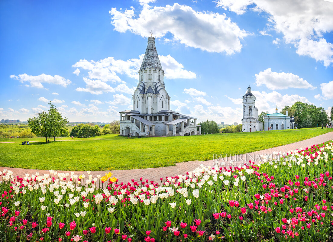 Воскресенская церковь и тюльпаны - Юлия Батурина