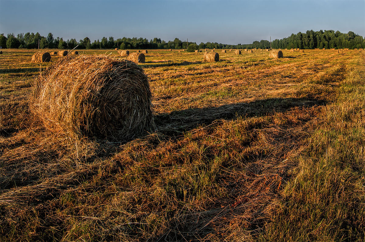 *** - Николай .