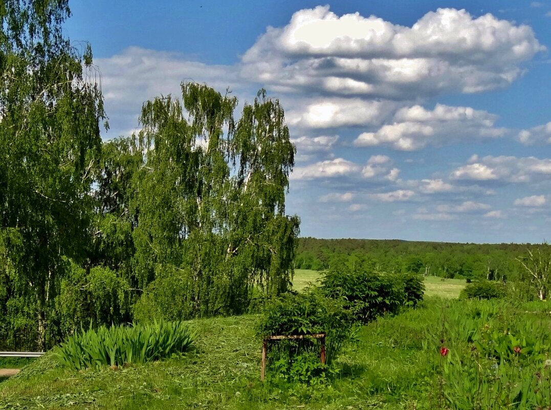 вид с холма Воскресенской церкви - Валентина. .