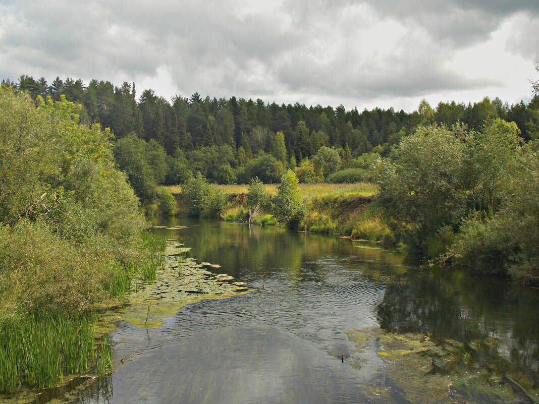 Куменский район Нижнеивкино