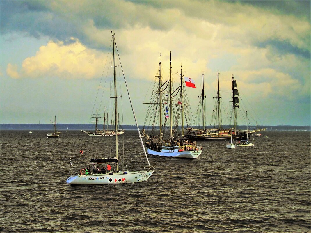 Участники Морского праздника Sail Tallinn 2021 - Aida10 
