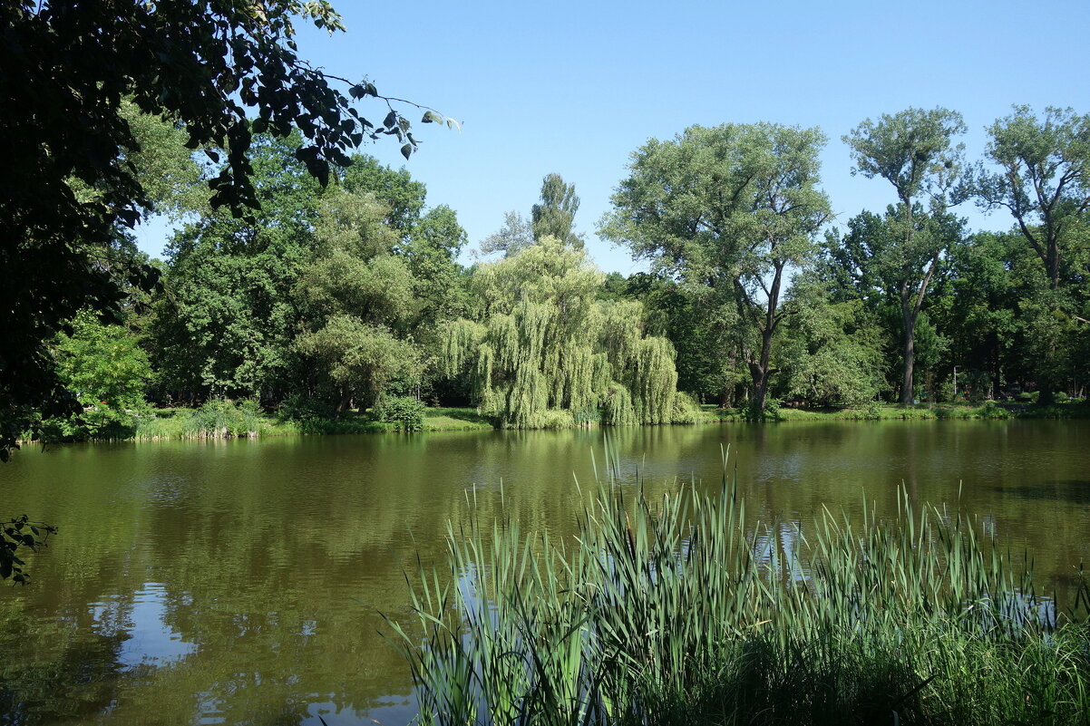 Парковые зарисовки - Маргарита Батырева