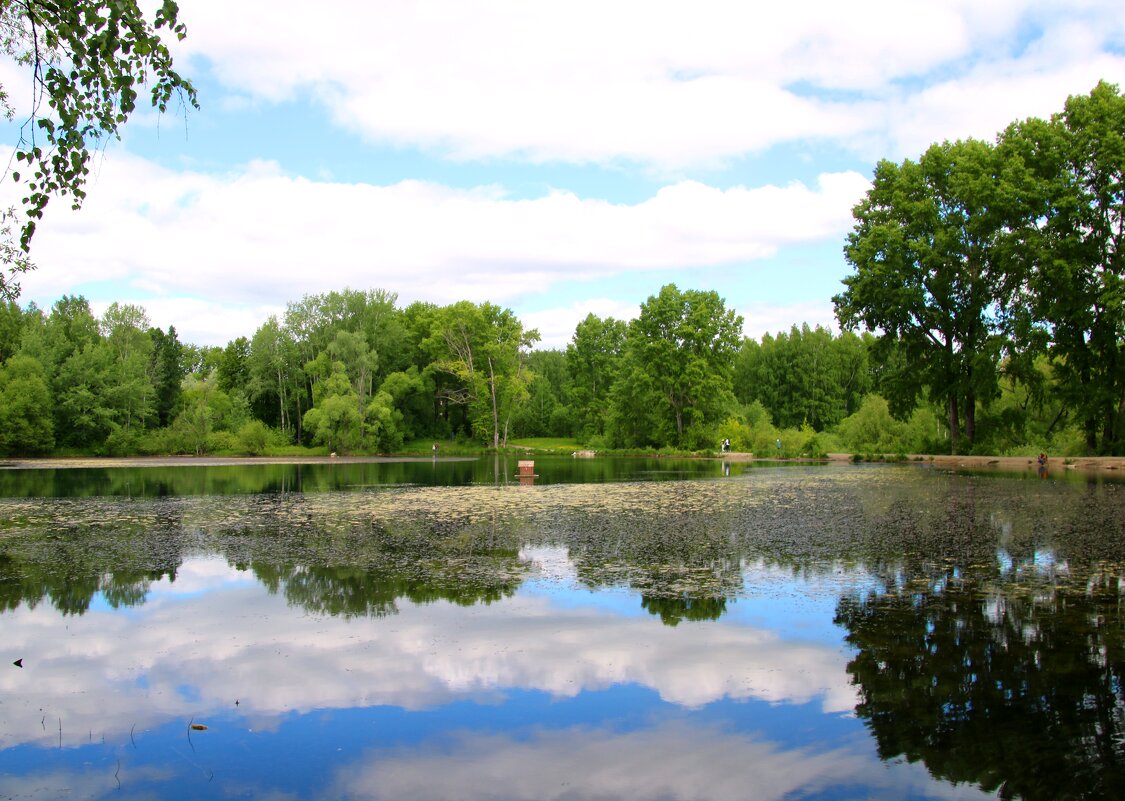 На озере - владимир тимошенко 