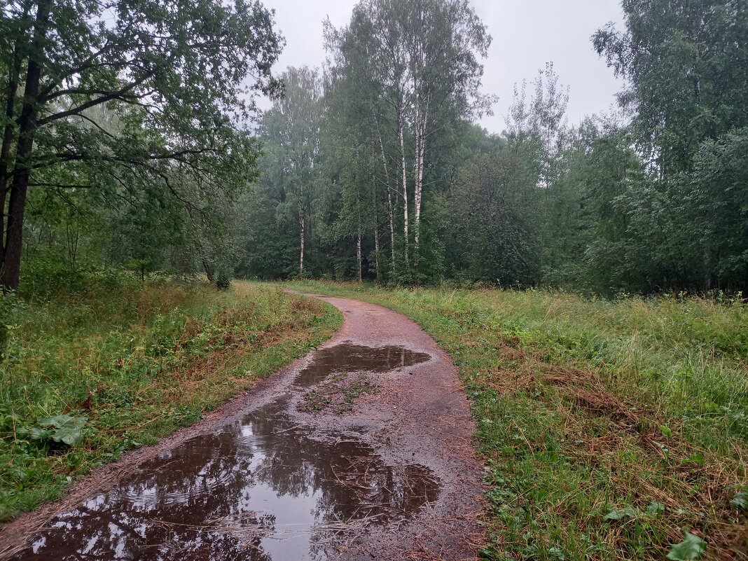 После дождя - Сапсан 