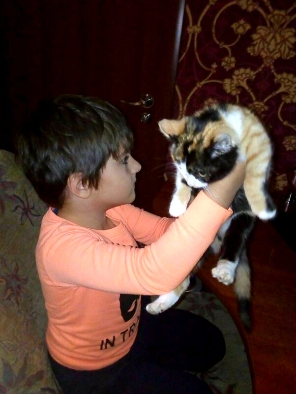 Любитель кошек - Наталья (D.Nat@lia)