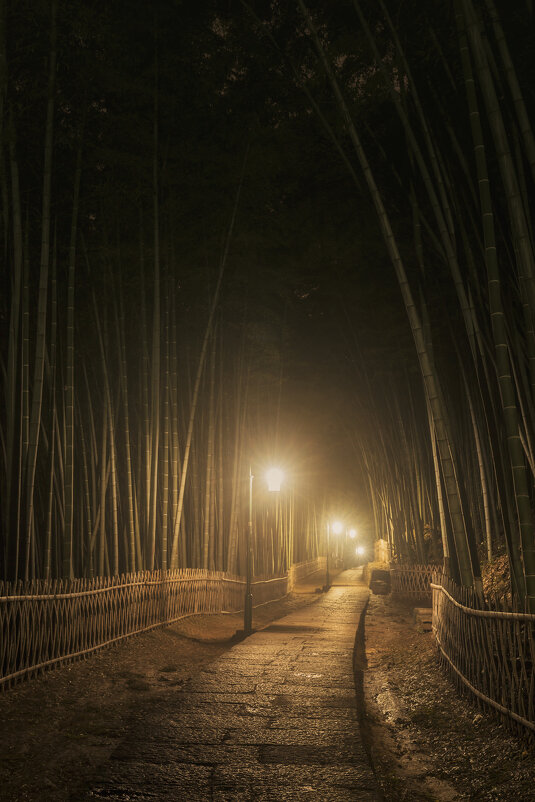 Вечер в бамбуковом парке - Дмитрий 