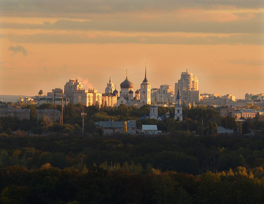 Воронеж - Алексей 