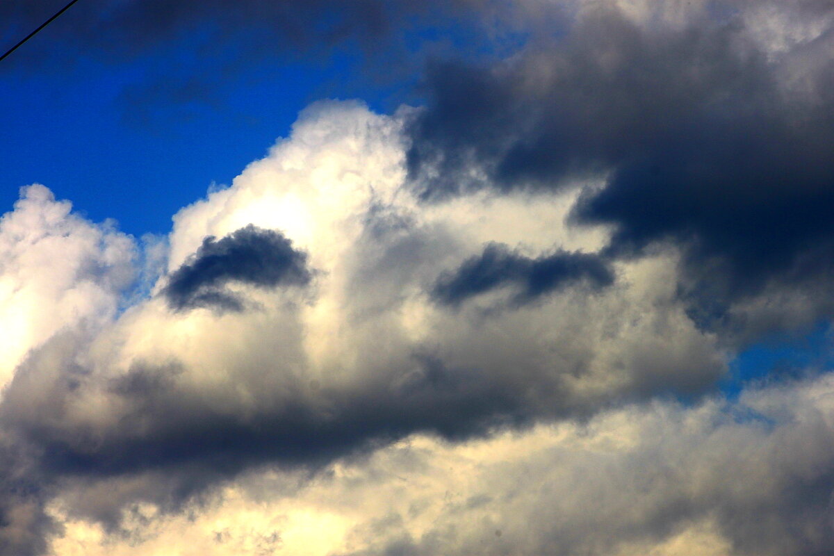 Смотрящее облако   13 августа - олег свирский 