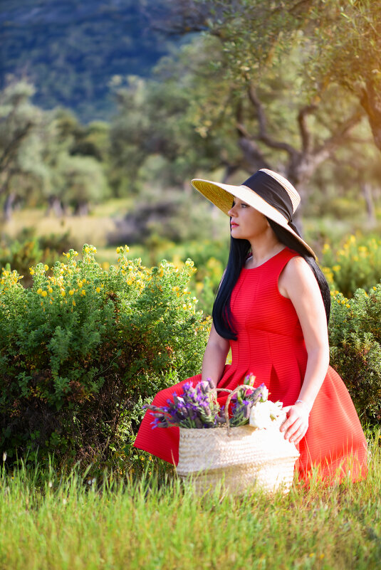 Red dress - Salvador Melendez