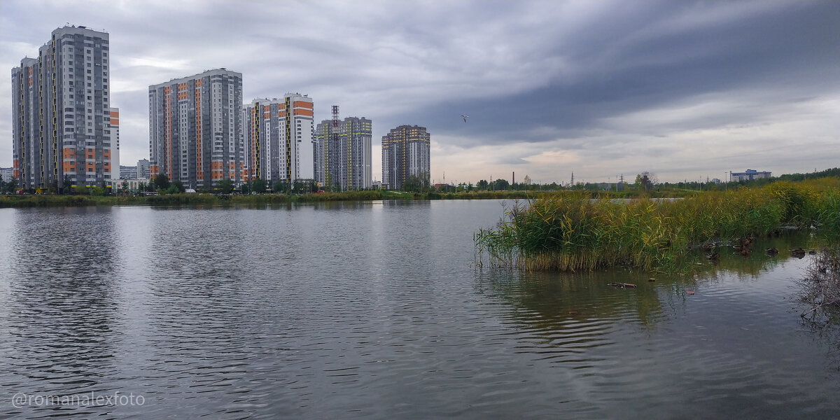 ЖК "София" Фрунзенский район Санкт-Петербурга - Роман Алексеев