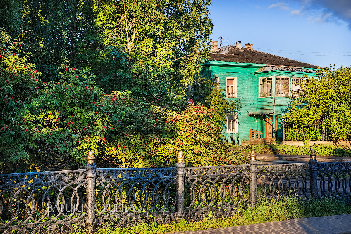 Зеленый дом - Юлия Батурина