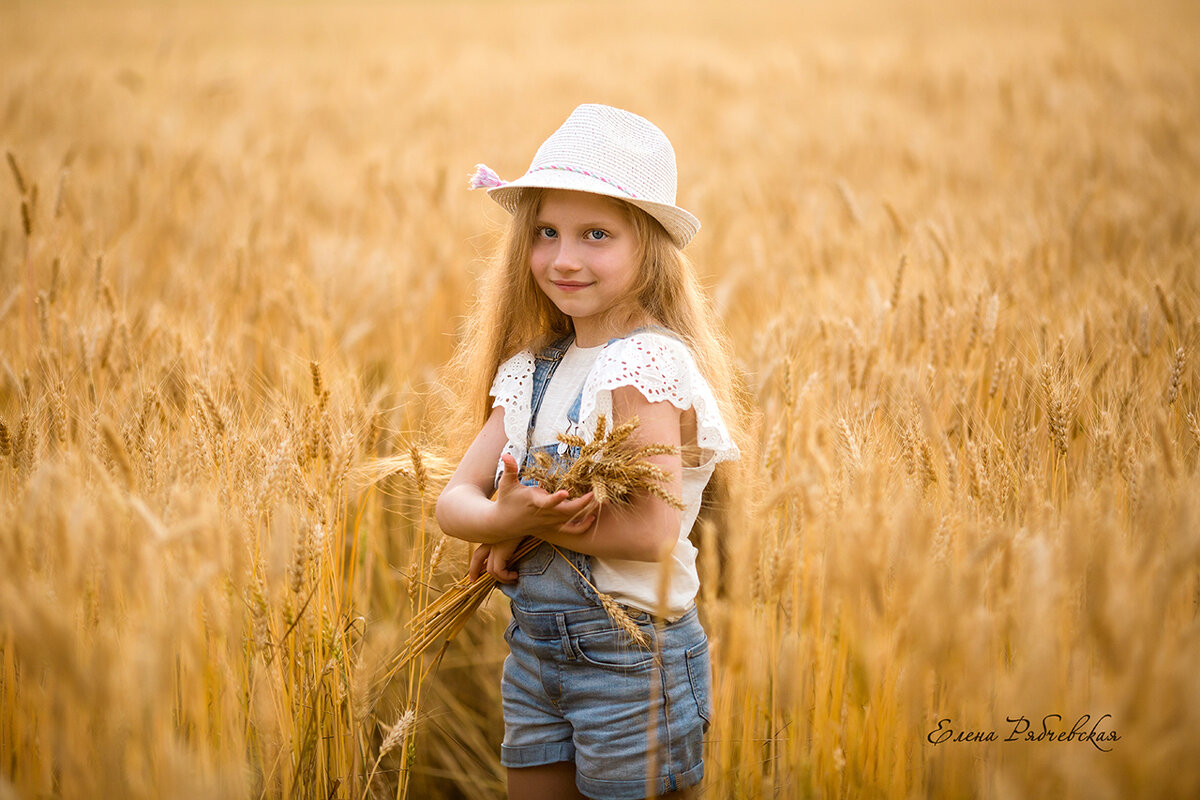 В поле пшеницы - Елена Рябчевская