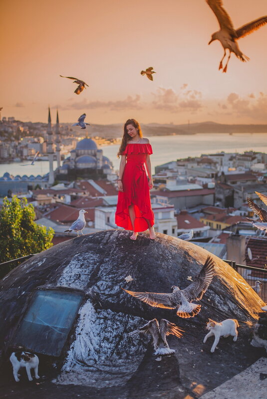 Рассвет на крыше Стамбула - Ирина Лепнёва