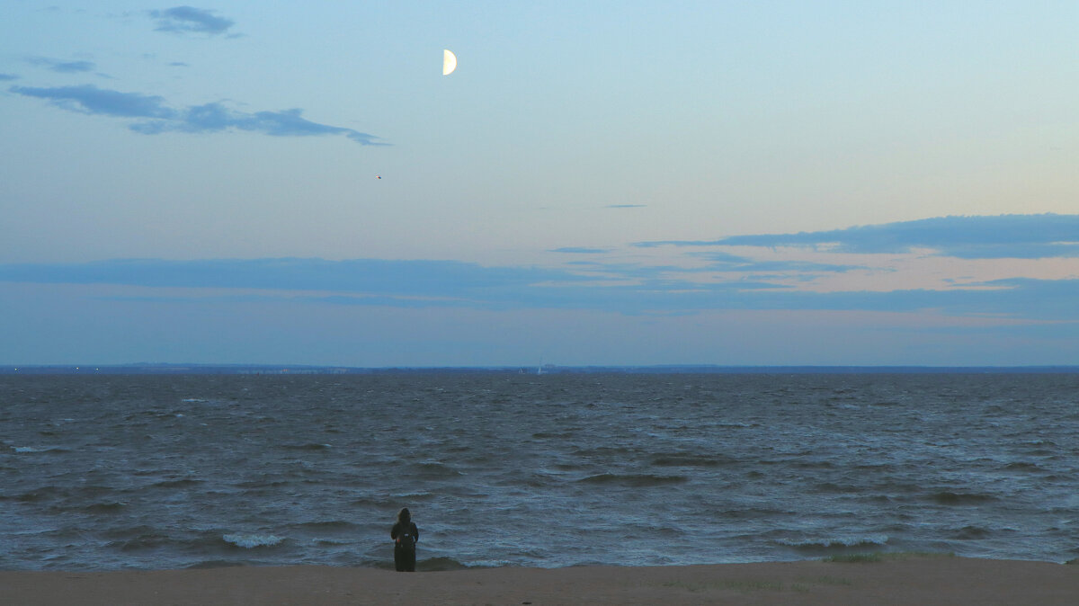 Луна, море,человек. - веселов михаил 