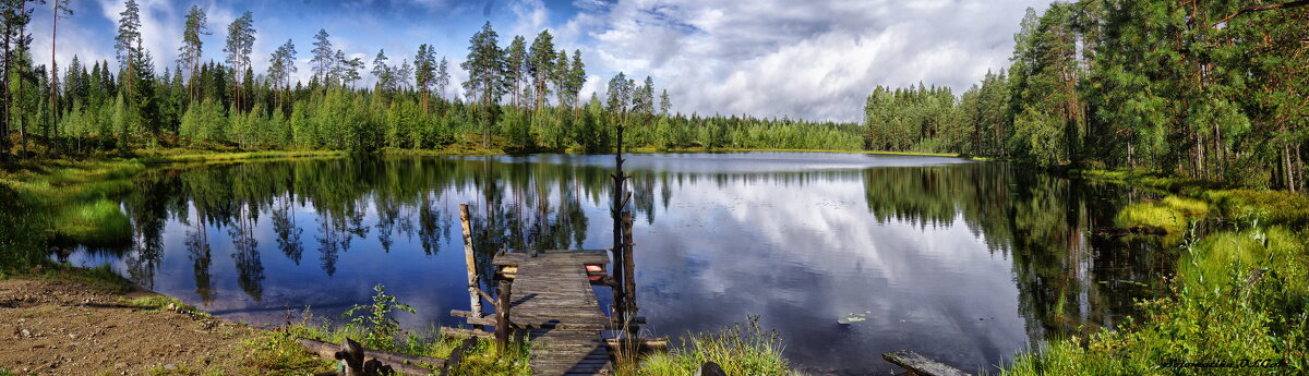 панорама - Ольга Cоломатина