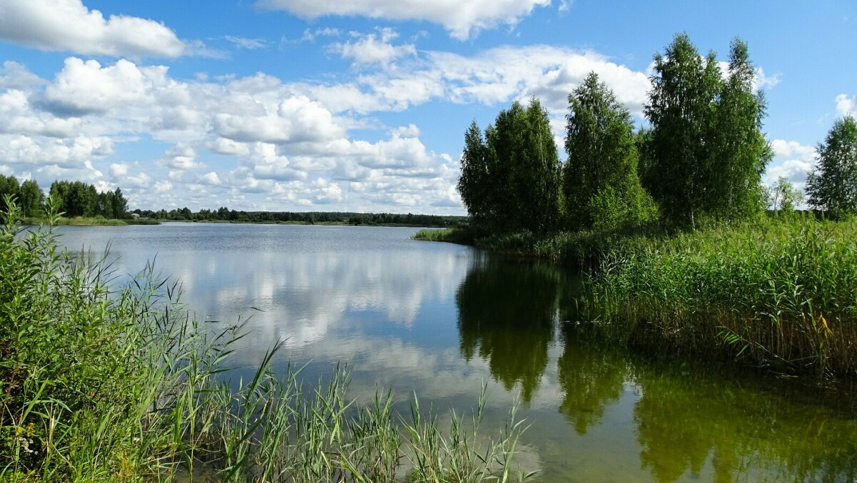 Про озёра (из поездок по области). - Милешкин Владимир Алексеевич 