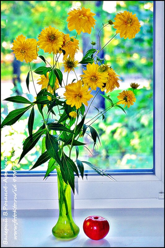 Цветы на окне - Валерий Викторович РОГАНОВ-АРЫССКИЙ
