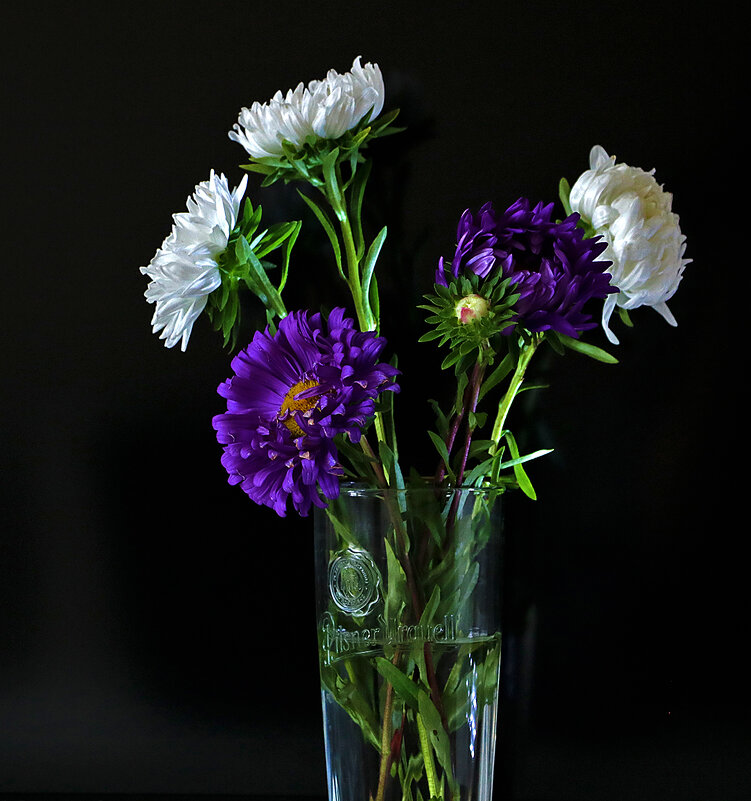 Астры - сентябрьские цветы - Светлана 
