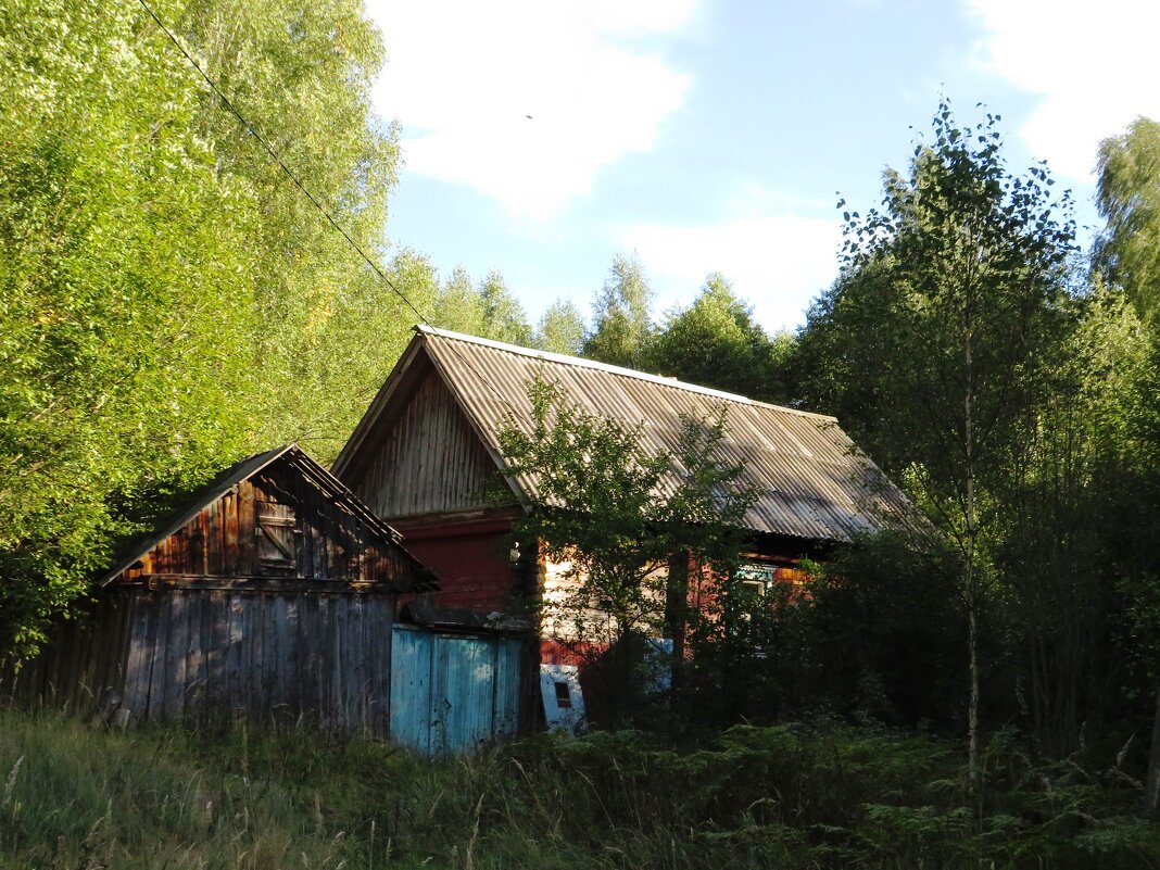 Дом на окраине деревни - Андрей Снегерёв