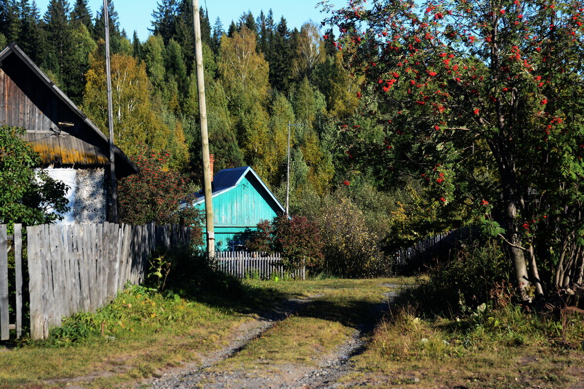 *** - Александр 