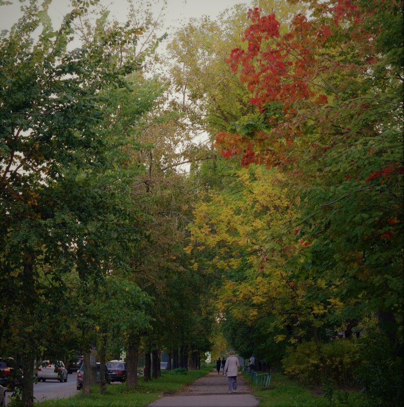 Осень - ЕЛЕНА КУКШЕВА