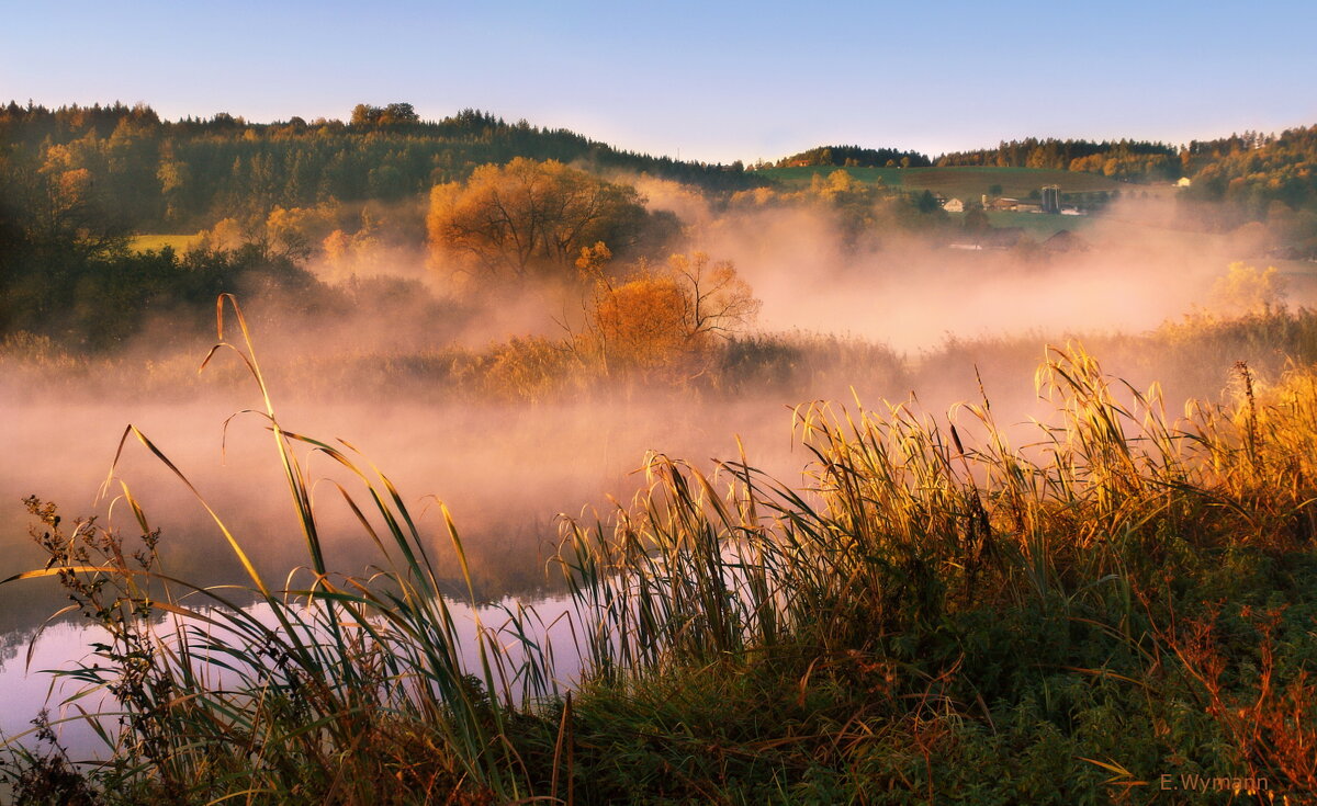 misty morning - Elena Wymann