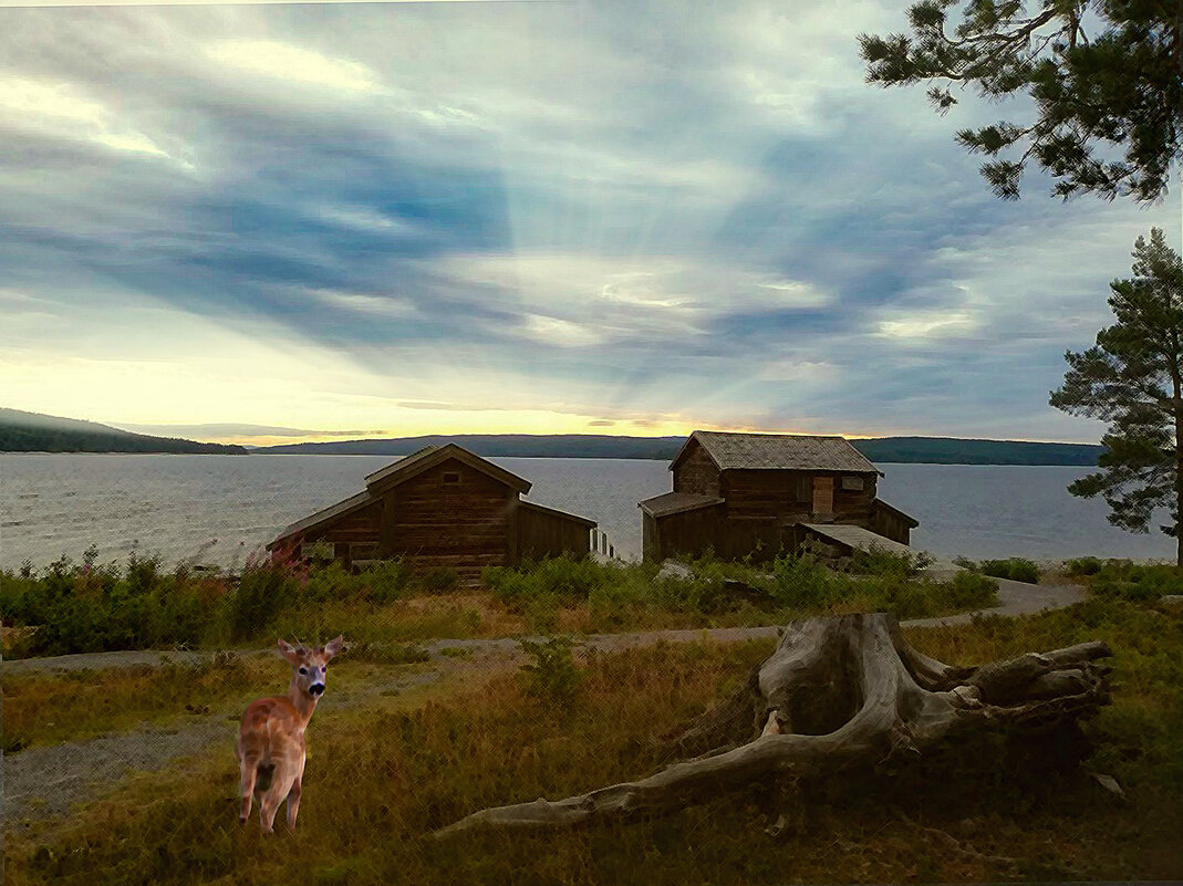 Утро в Härnösand - liudmila drake