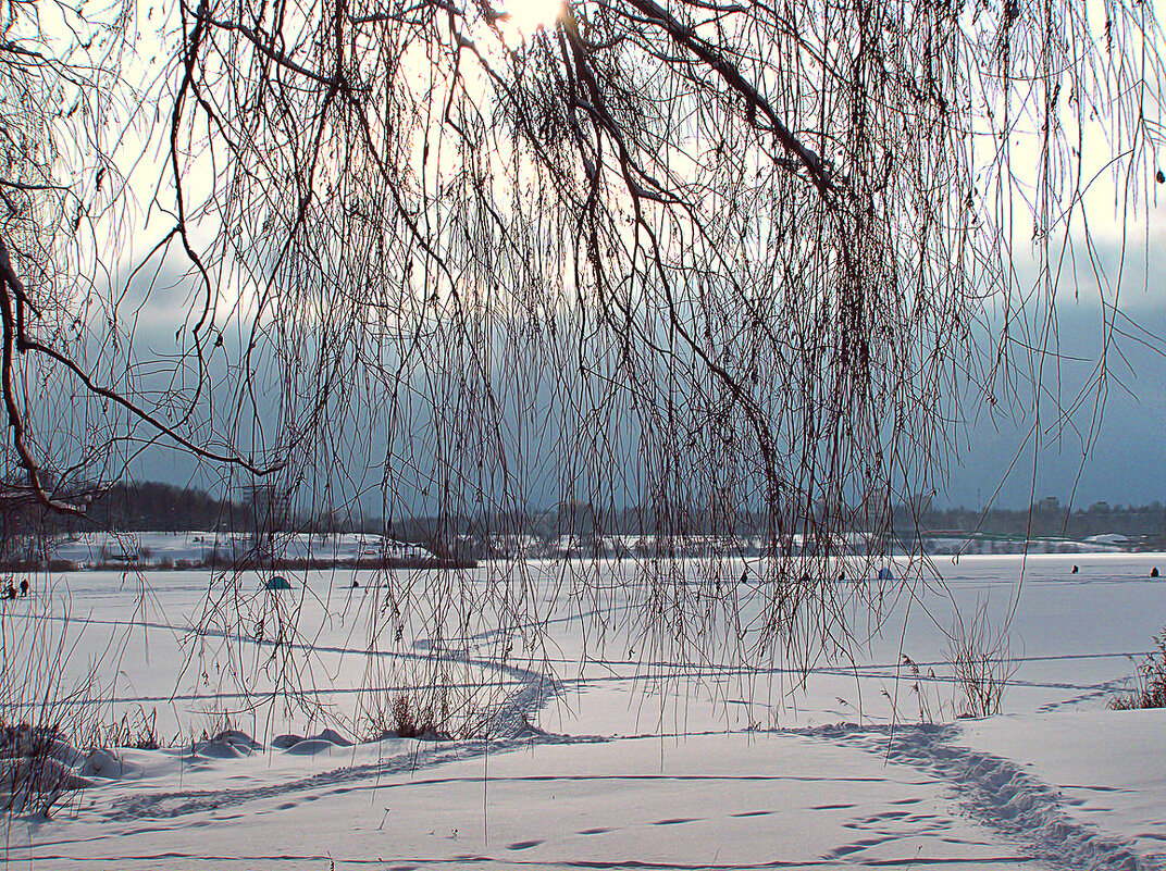 Зимнее озеро - Игорь Сычёв